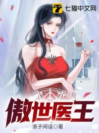 傻儿师长