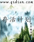 杨家将后传