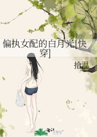 李芬诗雨小军完整版