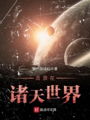 宝可梦新无印免费观看中文版