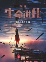 如果不遇江少陵完整版