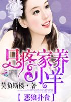 雪婷txt