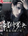 绝品透视在线观看完整版