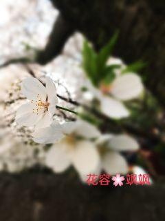 黄色污草莓芭乐丝瓜