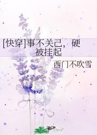 书包网txt