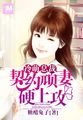 旋风少女第三季全32集在线观看