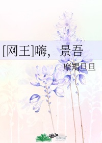 一级教师星际饮尔