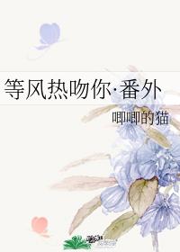 黄版抖音是什么软件