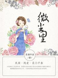 王昭君无惨本子为报仇