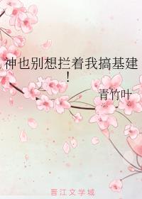 泛银河战纪