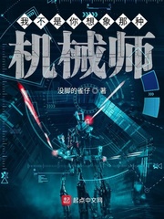 宝可梦新无印免费观看中文版