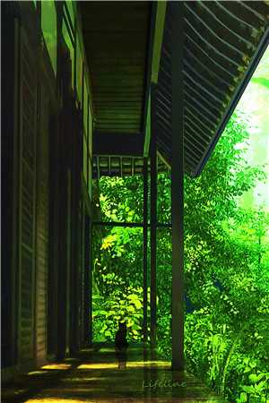 雯雯山村