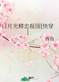 费玉清和张菲是什么关系