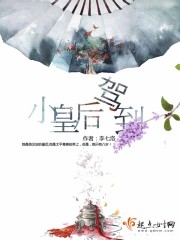 办公室的秘密赵雪晴全文免费