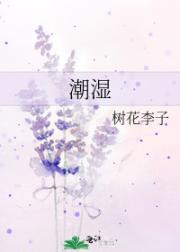 沈浪 苏若雪 完整txt