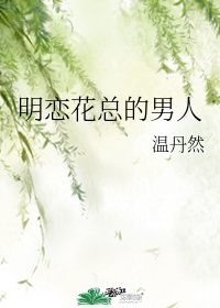 霍莽蓝晚小说叫什么名字