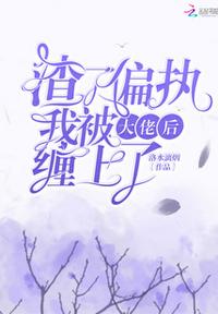 侠女叶婉霓的沉沦后续