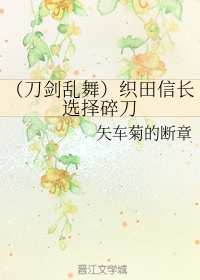 变形金刚5免费观看完整版