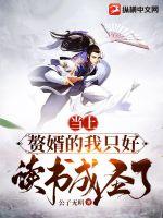 天龙八部h版