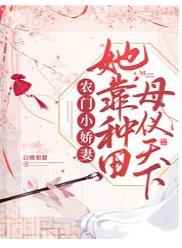 傻儿师长