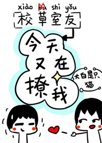 傻儿师长