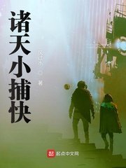 信长之野望13威力加强版