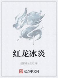 杨家将后传