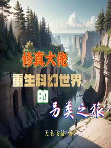 盲侠大律师第一季