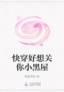 姐姐可以吗小说免费阅读