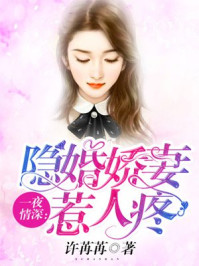 陈冠希与张柏芝的dvd