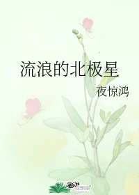 香软玉滑LVL芍药