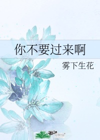 倾世王妃洛雪嫣全文免费