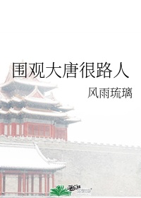 丁香花视频播放