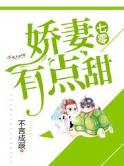 少女改造计划 h 限 np