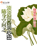 污丝瓜秋葵草莓香蕉榴莲芒果大全