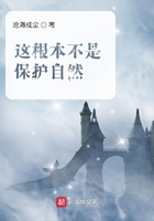 办公室的秘密赵雪晴全文免费