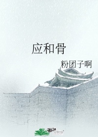 小说库