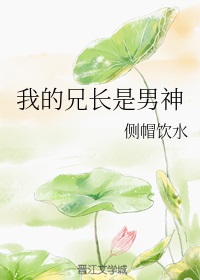 全职法师h文