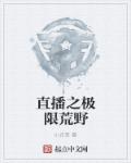 全职法师免费下载