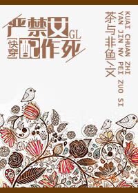 胜算1-40集免费观看