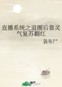 杨家将后传