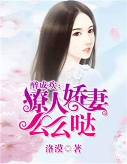 梅花易数下载