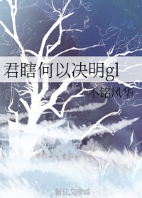 秦雨罗明老旺完整版