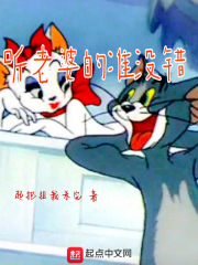 楚辞夜瑾小说名字