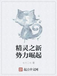 傻儿师长