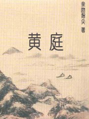 泡沫铝