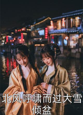 夜归人小说