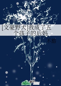 浪货两个都满足不了你J视频