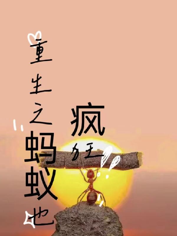 小茹与黑马