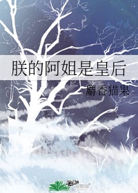 全职法师心夏第一次